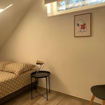 Appartement Dans Une Grange Renovee Strasbourg Luaran gambar